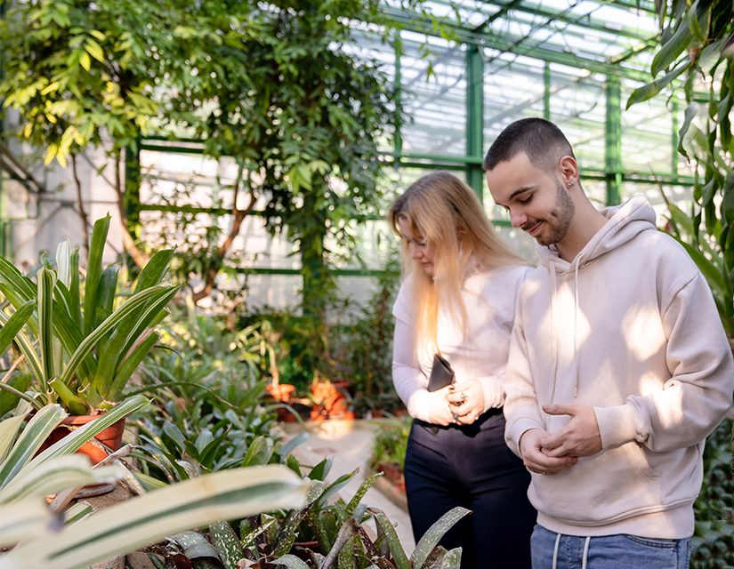 Candidații la admiterea 2022 la Universitatea din București, acces gratuit în Grădina Botanică „D. Brandza” a UB